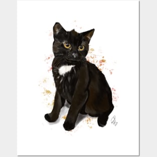 Hugo the black kitty Posters and Art